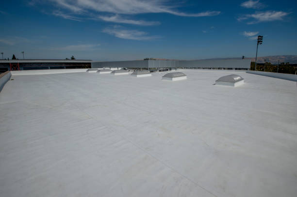 Best Roof Ventilation Installation  in Saddle River, NJ